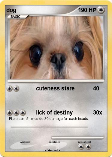 Pokemon dog