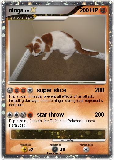 Pokemon ninga