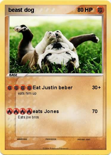 Pokemon beast dog