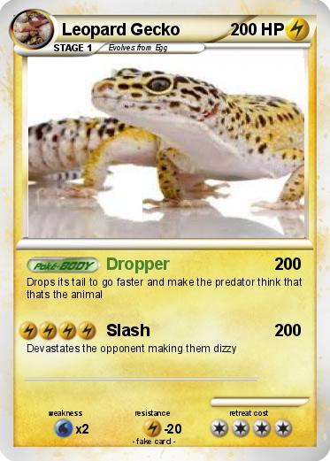 Pokemon Leopard Gecko