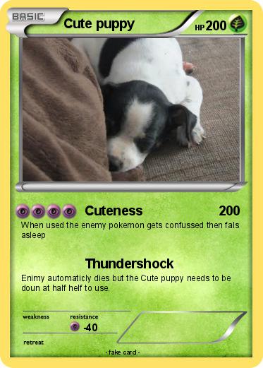 Pokemon Cute puppy