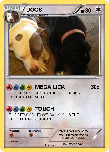 Pokemon DOGS