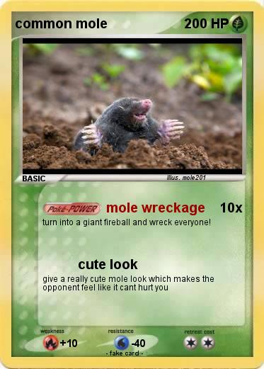 Pokemon common mole
