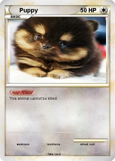 Pokemon Puppy