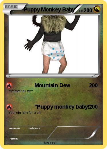 Pokemon Puppy Monkey Baby