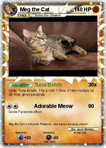 Pokemon Meg the Cat