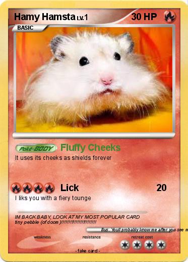 Pokemon Hamy Hamsta