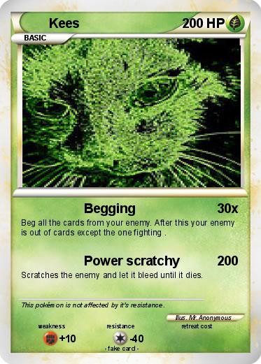 Pokemon Kees