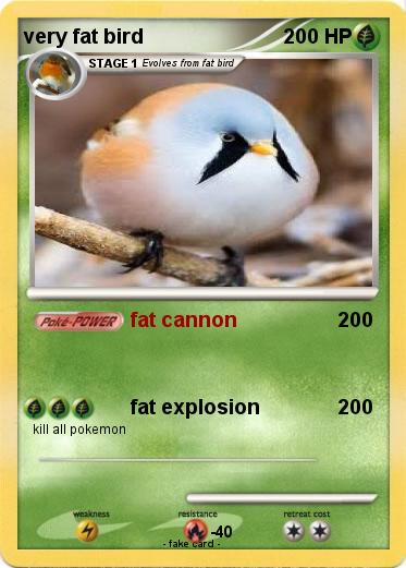Pokemon very fat bird