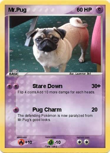 Pokemon Mr.Pug