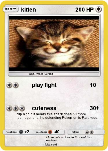Pokemon kitten