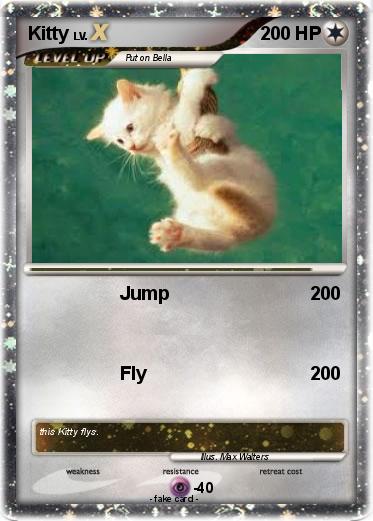 Pokemon Kitty