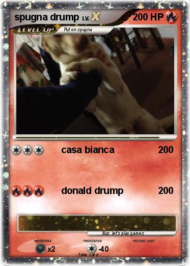 Pokemon spugna drump