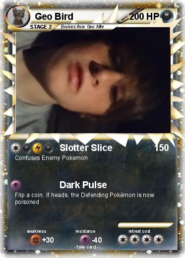 Pokemon Geo Bird