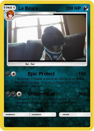 Pokemon Le Bruce