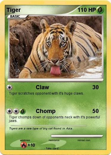 Pokemon Tiger