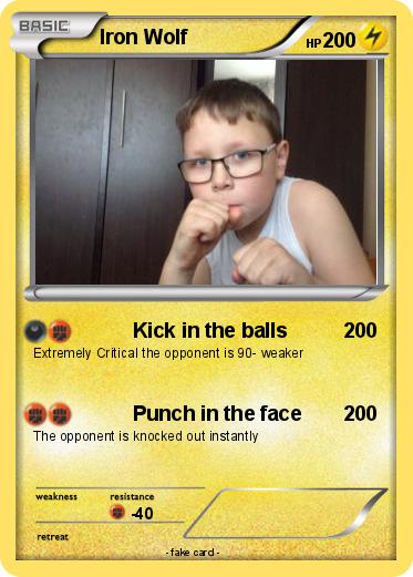 Pokemon Iron Wolf