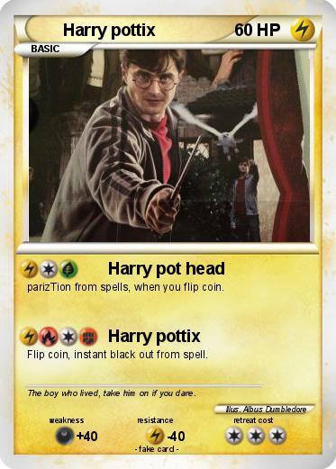Pokemon Harry pottix