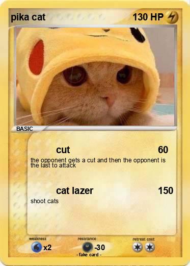 Pokemon pika cat