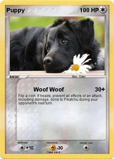 Pokemon Puppy
