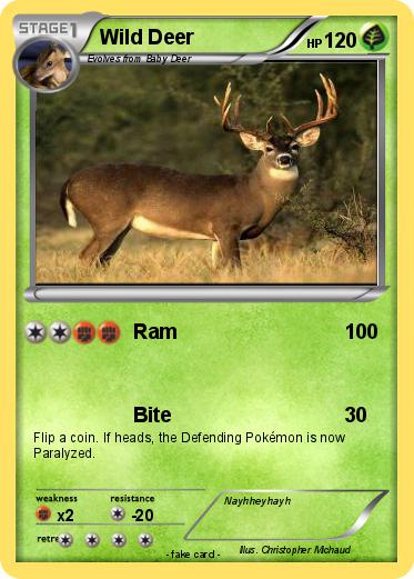 Pokemon Wild Deer
