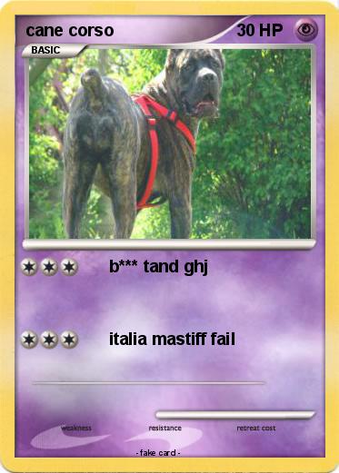 Pokemon cane corso