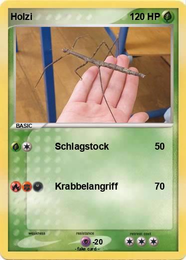 Pokemon Holzi