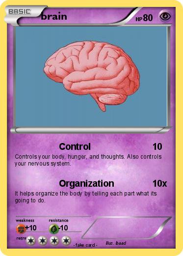 Pokemon brain