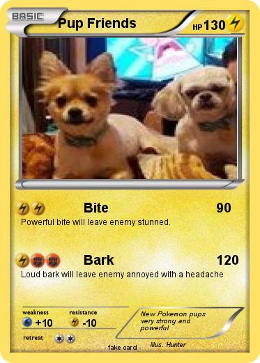 Pokemon Pup Friends
