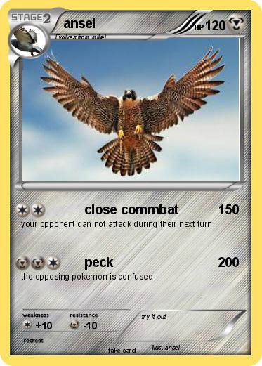 Pokemon ansel