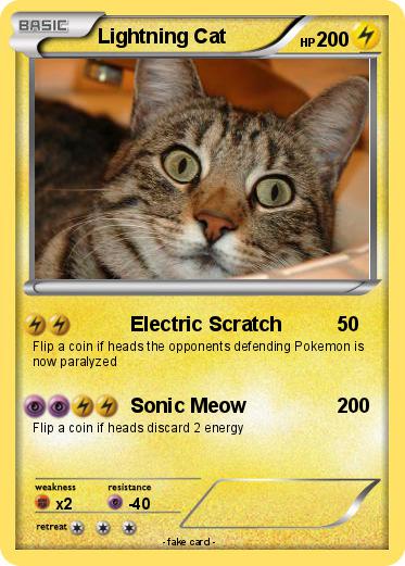 Pokemon Lightning Cat