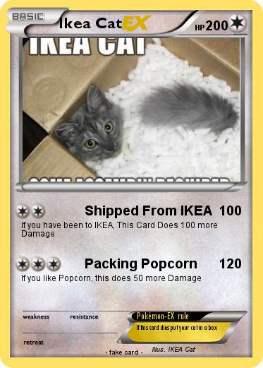 Pokemon Ikea Cat