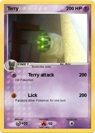 Pokemon Terry