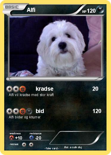 Pokemon Alfi