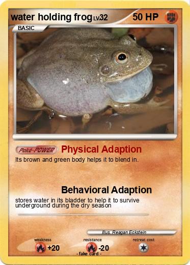 Pokemon water holding frog