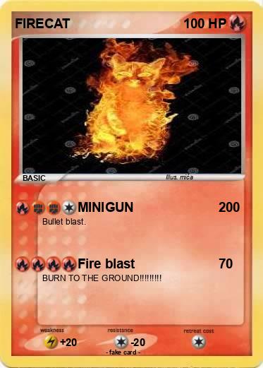 Pokemon FIRECAT