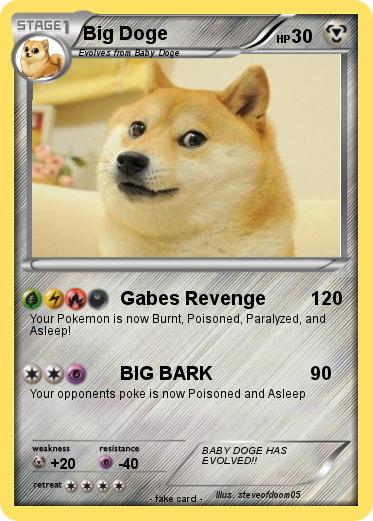 Pokemon Big Doge