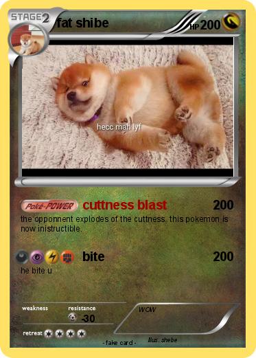 Pokemon fat shibe