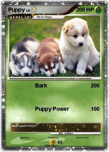 Pokemon Puppy