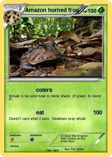 Pokemon Amazon horned frog