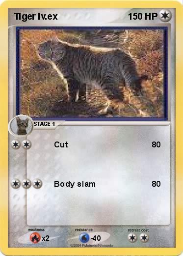 Pokemon Tiger lv.ex