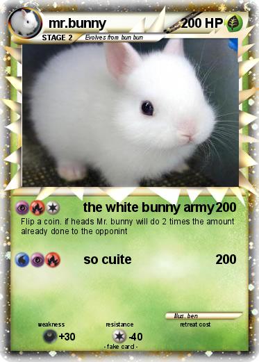 Pokemon mr.bunny