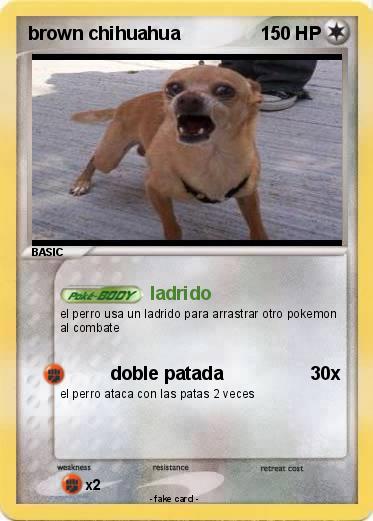 Pokemon brown chihuahua