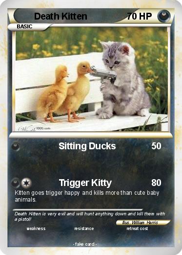 Pokemon Death Kitten