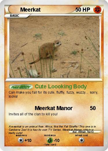 Pokemon Meerkat