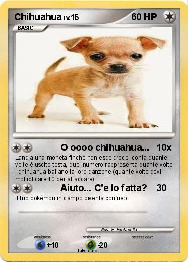 Pokemon Chihuahua