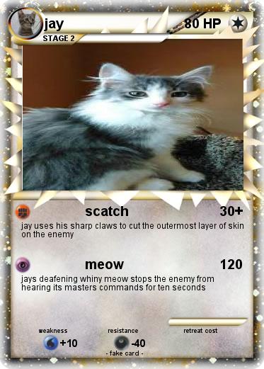Pokemon jay