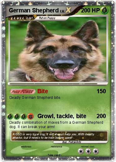Pokemon German Shepherd