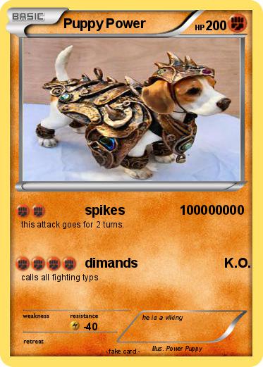Pokemon Puppy Power