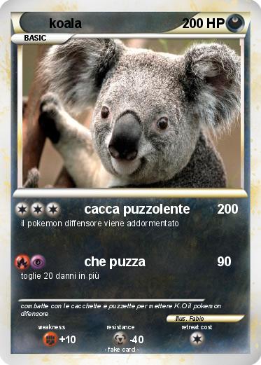 Pokemon koala